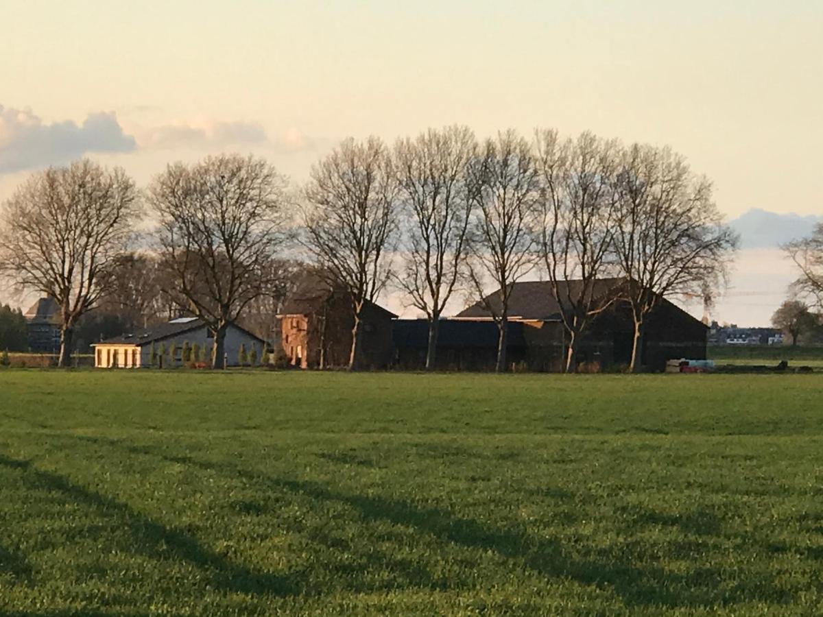 Koenigsgut Emmericher Eyland Kalkar Bagian luar foto