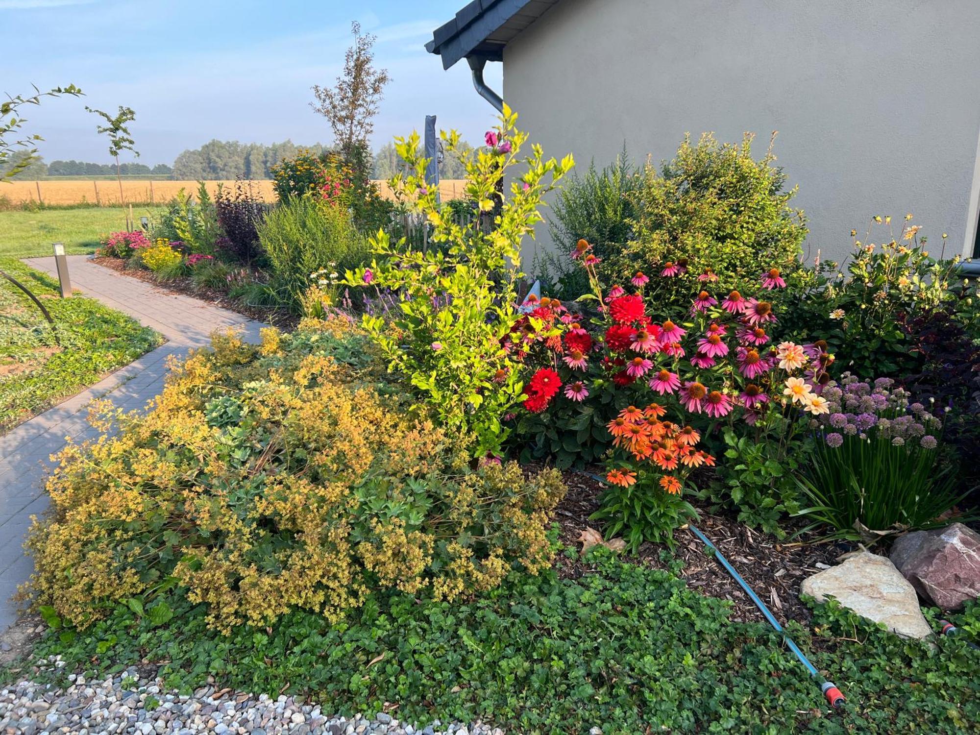 Koenigsgut Emmericher Eyland Kalkar Bagian luar foto